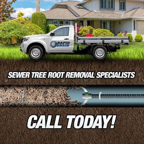 Sewer Tree Root Removal Specialists In Calamvale